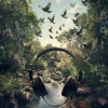 Somnography、Calming Bird Sounds、Beyond Quantum - Symphony Along Babbling Creek