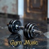 Gym Music、EDM for the Gym、Lifting Music - Electric Elevation