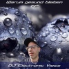 Electronic views - Baller mir Drogen den ganzen Tag (Original Version)