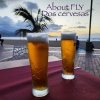 About Fly - Latino Voice