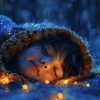 Tiempo Theta、Cascada de Lluvia、Sintropía - Bebé En La Calma Del Trueno