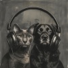 Música de gatos、Biblioteca de sonidos de fuego de Rushing Blaze、Ballenas sónicas《Calma Con Resplandor Para Gatos》[MP3/LRC]