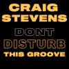Craig Stevens - Dont Disturb This Groove