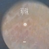 恩哲 - 珍珠