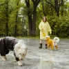 멜로우 - Walks and picnics