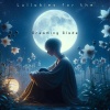 Sleepy Music Zone - Dream Drifts