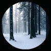 Lesper - Snow Scape