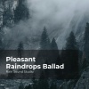 Rain Sound Studio、Meditation Rain Sounds、The Rain Library - Active in Wet Weather