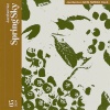 Jazzberriez、DAISI、MZERA、Daoti - Spring Sky