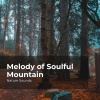 Sleep Sounds of Nature、Nature Sounds Nature Music - Meander in the Woods