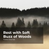 Forest Sounds、Ambient Forest、Rainforest Sounds - Thriving Rain Forest