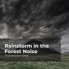 Thunderstorm Sleep、Thunderstorm - Twilight Sky Lightning