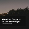 Thunderstorm Sleep、Thunderstorm、Thunder Storms & Rain Sounds - Tolerable Thunderstorm
