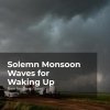 Rain for Deep Sleep、Ambient Rain、Gentle Rain Makers - Pelting Rain in the Roof