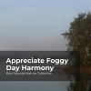 Rain Sounds Nature Collection、ASMR Rain Sounds、Sleepy Rain - Mother Nature Cloudburst