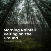 Relaxing Rain Sounds、Rain for Sleep、Rain Drops for Sleep - Peaceful in Pouring Rain