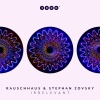 Rauschhaus、Stephan Zovsky - Acid