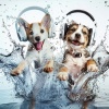 Good Dog Music、The Wild Walkers、Music For Haunted Houses《Dogs Joy by the Water》[MP3/LRC]