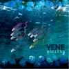 Anahi Rayen Mariluan、Tànit Navarro - Yene