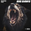 QuanDogg、Keko - BIG DAWG (feat. Keko)(Explicit)