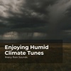Heavy Rain Sounds、Rain Shower Spa、Lullaby Rain - Surge of Rain Showers