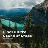 Natural Rain Sounds for Sleeping、Rain Storm Sample Library、Rain Sounds - Gentle Rain Symphony
