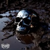 Hellraiser - CHROME