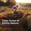 Sleep Sounds of Nature、Nature Sounds Nature Music - Living in the Countryside