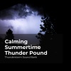 Thunderstorm Sound Bank、Sounds of Thunderstorms & Rain、Thunderstorms Sleep Sounds《Thunder Growl Tune》[MP3/LRC]