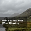 Rain Sounds & White Noise、Raindrops Sleep、Sleep Rain - Driving While Raining