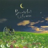 溝口肇 - Angel～Beautiful Life Main Theme～ (strings ver.)