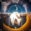 The Provincials、Cafe De Anatolia、Bozo Vreco、Buba、Lerr - Saba (Buba & Lerr Remix)