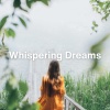 Sleep Sleep Sleep、Relaxing Music For Sleeping、Sleeping Aid Music Lullabies - Solar Wind Serenade (Relaxing Ambient Music)