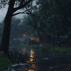 Gentle Crystal Sounds Divine、Eva Poured、Auric Sensation - Zen in the Rain's Fall