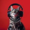 Mascotas tranquilas、Sonidos de aguas tranquilas、Reiki para animales - Paz Binaural Para Las Mascotas