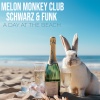 Melon Monkey Club - A Day at the Beach (Schwarz & Funk Remix)