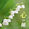 放課後合唱団 - 心の瞳 (カバー)