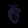 Code Red、Quinn Hogenboom - COLDEST HEART (Explicit)