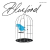 Kachkanar - Bluebird