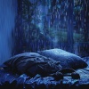 Sleep & Dream Academy、Delta Hz、Rainfall For Sleep - Sleepy Showers Sound