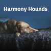 Relaxing Dog Music - Hound Harmony