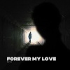 Avik - Forever my love