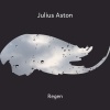 Julius Aston - Soothing Forest Storm