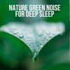 Nature Sounds for Sleep and Relaxation、Forest Sounds、Catch Your Dream - Emerald Echoes