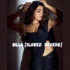 Koushik Mahata - BILLO (Slowed Reverb)