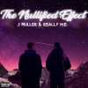 J Nuller、Really M.E. - Birdy (Explicit)