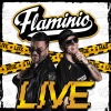 Quei bravi ragazzi、Flaminio Maphia - Intro (Live)