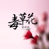 张妙格《毒草花》[MP3/LRC]