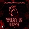 Cesare Panaccione《What Is Love》[MP3/LRC]