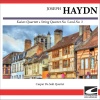 Caspar Da Salo Quartet - Haydn String Quartet Op. 1 No. 1 in B flat major 'Hunting Quartet' - Presto
